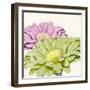 Gerbera Glory I-Linda Wood-Framed Giclee Print