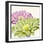 Gerbera Glory I-Linda Wood-Framed Giclee Print