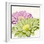 Gerbera Glory I-Linda Wood-Framed Giclee Print