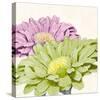 Gerbera Glory I-Linda Wood-Stretched Canvas