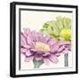 Gerbera Glory II-Linda Wood-Framed Giclee Print