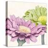 Gerbera Glory II-Linda Wood-Stretched Canvas