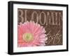 Gerbera I-Sylvia Murray-Framed Art Print