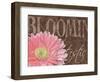 Gerbera I-Sylvia Murray-Framed Art Print