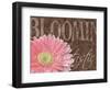 Gerbera I-Sylvia Murray-Framed Art Print