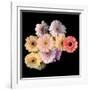 Gerbera II-Magda Indigo-Framed Photographic Print