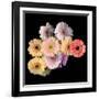 Gerbera II-Magda Indigo-Framed Photographic Print