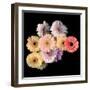 Gerbera II-Magda Indigo-Framed Photographic Print