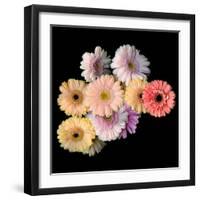 Gerbera II-Magda Indigo-Framed Photographic Print