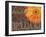 Gerbera II-Sylvia Murray-Framed Art Print