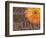 Gerbera II-Sylvia Murray-Framed Art Print