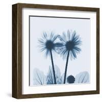 Gerbera in Blue-Albert Koetsier-Framed Art Print