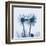 Gerbera in Blue-Albert Koetsier-Framed Art Print