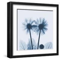 Gerbera in Blue-Albert Koetsier-Framed Art Print