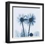 Gerbera in Blue-Albert Koetsier-Framed Art Print