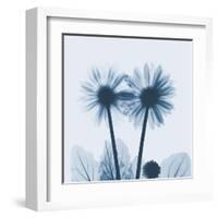 Gerbera in Blue-Albert Koetsier-Framed Art Print