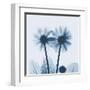 Gerbera in Blue-Albert Koetsier-Framed Art Print