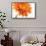Gerbera in Orange-Uwe Merkel-Framed Stretched Canvas displayed on a wall