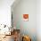 Gerbera in Orange-Uwe Merkel-Mounted Photographic Print displayed on a wall