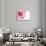 Gerbera in Rose-Uwe Merkel-Photographic Print displayed on a wall