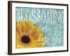 Gerbera IV-Sylvia Murray-Framed Art Print