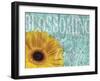 Gerbera IV-Sylvia Murray-Framed Art Print