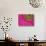 Gerbera, Shocking Pink, United Kingdom-Steve & Ann Toon-Stretched Canvas displayed on a wall