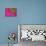Gerbera, Shocking Pink, United Kingdom-Steve & Ann Toon-Mounted Photographic Print displayed on a wall