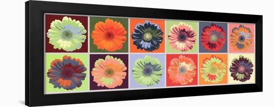 Gerbera Spectrum-null-Framed Art Print