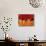 Gerbera with Water Drops-Daisy Gilardini-Photographic Print displayed on a wall