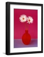 Gerbera-null-Framed Art Print