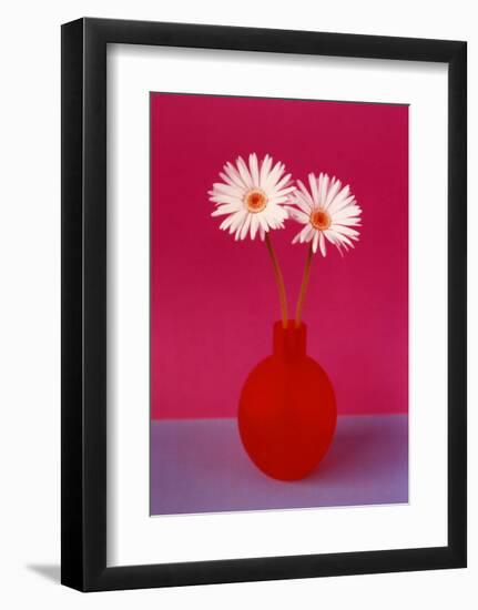 Gerbera-null-Framed Art Print