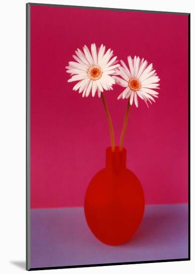 Gerbera-null-Mounted Art Print