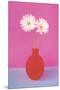 Gerbera-null-Mounted Premium Giclee Print