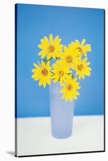 Gerbera-null-Stretched Canvas