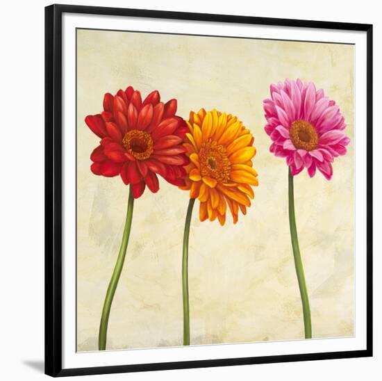 Gerberas II-Cynthia Ann-Framed Art Print