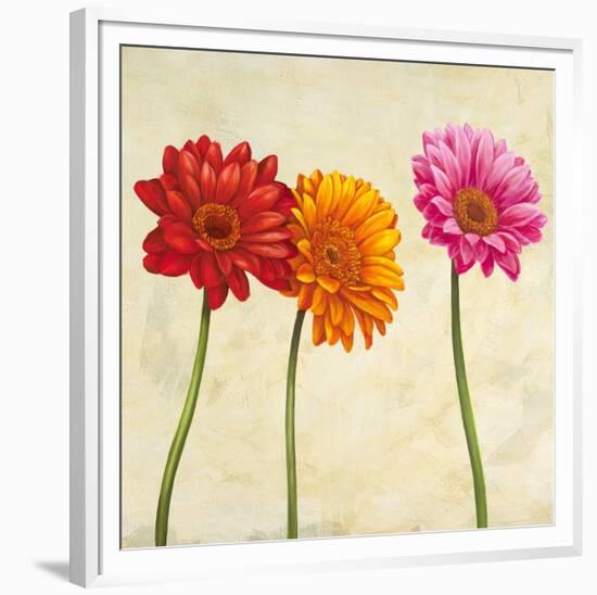 Gerberas II-Cynthia Ann-Framed Art Print