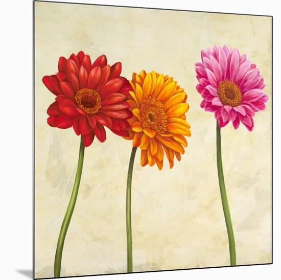 Gerberas II-Cynthia Ann-Mounted Art Print