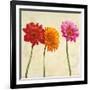 Gerberas II-Cynthia Ann-Framed Art Print