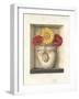 Gerberas-Lisa Audit-Framed Giclee Print