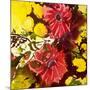 Gerberas-Mary Smith-Mounted Giclee Print