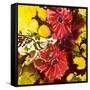 Gerberas-Mary Smith-Framed Stretched Canvas