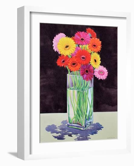 Gerberas-Christopher Ryland-Framed Giclee Print