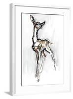 Gerenuk fawn, Sarara, 2018,-Mark Adlington-Framed Giclee Print