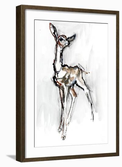 Gerenuk fawn, Sarara, 2018,-Mark Adlington-Framed Giclee Print