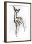 Gerenuk fawn, Sarara, 2018,-Mark Adlington-Framed Giclee Print