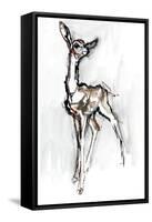 Gerenuk fawn, Sarara, 2018,-Mark Adlington-Framed Stretched Canvas