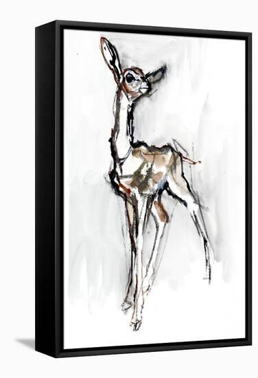 Gerenuk fawn, Sarara, 2018,-Mark Adlington-Framed Stretched Canvas