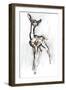 Gerenuk fawn, Sarara, 2018,-Mark Adlington-Framed Giclee Print