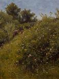 Pasture with goats-Gerhard Peter Frantz Vilhelm Munthe-Giclee Print